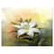 Designart - White Lily Flower Oil Painting - Large Floral Canvas Art Print